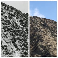 Bowers Cave - Then and now.