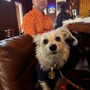 Freddo Atx - Coffee & Tea Near Me - Austin, Texas