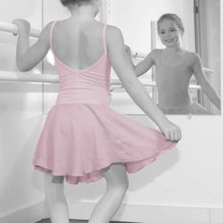 Above the Barre Dance & Gymnastics