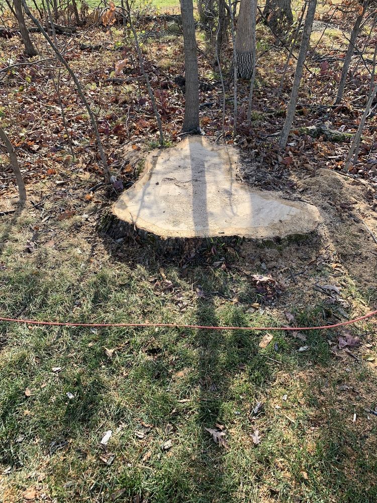 R & T Tree Experts - tree service in Fort Wayne, IN