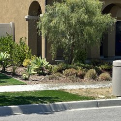 landscaping Garden service Madera - After