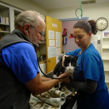 Shore Veterinarians - Veterinarians Near Me - Hammonton, New Jersey Shore Veterinarians - Veterinarians Near Me - Hammonton, New Jersey