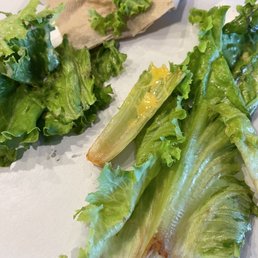 nasty lettuce nasty lettuce