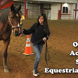 Louisville Equestrian Center