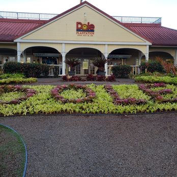 E Noa Tours - Dole plantation - Tours Near Me - Honolulu, Hawaii
