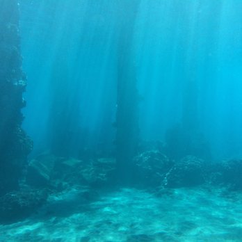 Maui Diving - Scuba Diving Near Me - Lahaina, Hawaii Maui Diving - Scuba Diving Near Me - Lahaina, Hawaii
