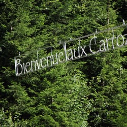 Pineau