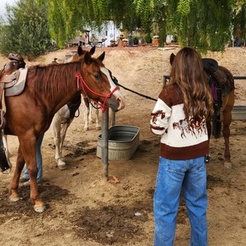 Wine Country Trails by Horseback - Tours Near Me - Temecula, California