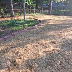 Collins Landscaping