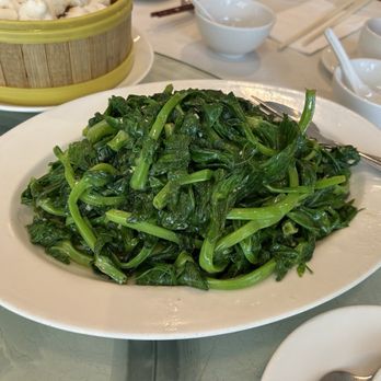 Kirin Seafood Restaurant - Seafood Near Me - Richmond, British Columbia Kirin Seafood Restaurant - Seafood Near Me - Richmond, British Columbia