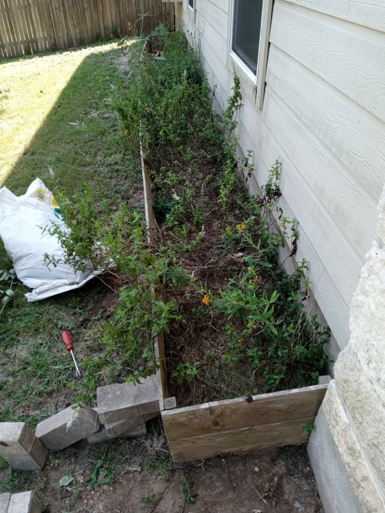 Slide of Pastrano Landscape And More