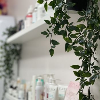 The Cottage Spa - We work with Exel Products and other leading brands - Hair Salons Near Me - Miami Gardens, Florida The Cottage Spa - We work with Exel Products and other leading brands - Hair Salons Near Me - Miami Gardens, Florida
