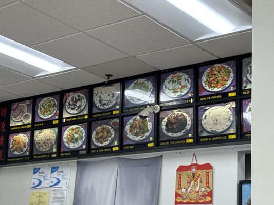 Golden Coast by null