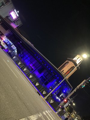 The Vanguard by null