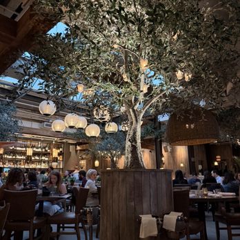 Aba - Mediterranean Near Me - Chicago, Illinois