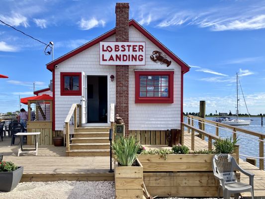 Lobster Landing by null