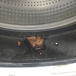 Laundromat Corner - Not exactly the most pleasant surprise Taken 1/9/21.