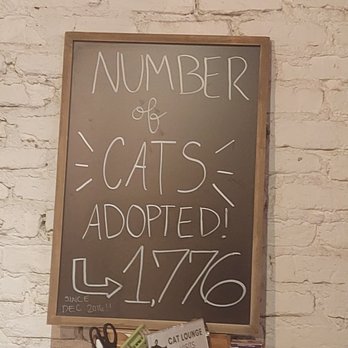 Pounce Cat Cafe - Pet Adoption Near Me - Charleston, South Carolina Pounce Cat Cafe - Pet Adoption Near Me - Charleston, South Carolina