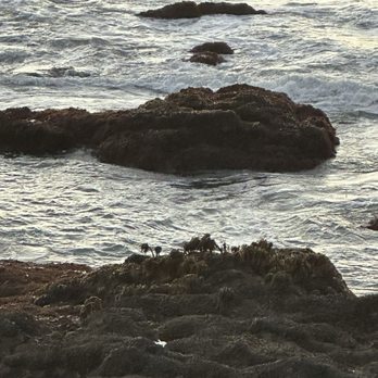 HI-Pigeon Point Lighthouse Hostel - Hostels Near Me - Pescadero, California