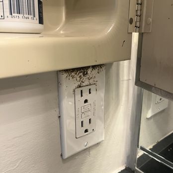Woodcreek Apartments - That's roach feces right above my sink - Apartments Near Me - Cary, North Carolina