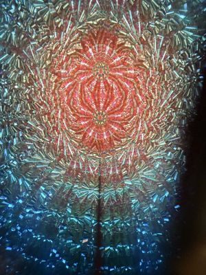 Emerson Kaleidoscope by null