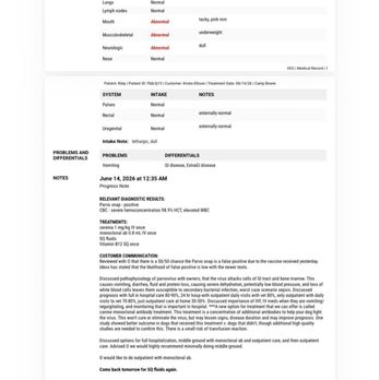 Pettito - Test results stating the chances of false positive are LOW - Pet Stores Near Me - Arlington, Texas Pettito - Test results stating the chances of false positive are LOW - Pet Stores Near Me - Arlington, Texas