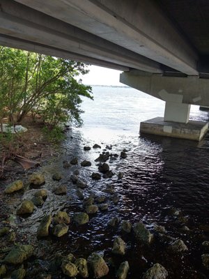 Four Mile Cove Ecological Preserve by null