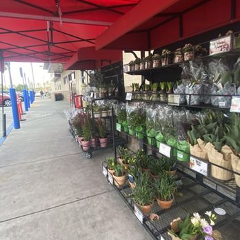 Trader Joe's - Grocery Near Me - Orange, California Trader Joe's - Grocery Near Me - Orange, California