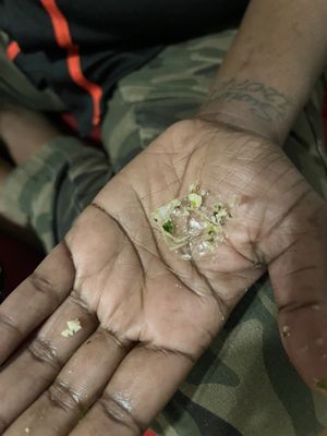 Schlotzsky's by null