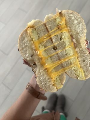 New York Bagel N Bakery by null