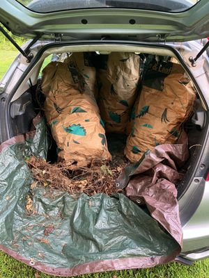 The Poison Ivy Bro Logo