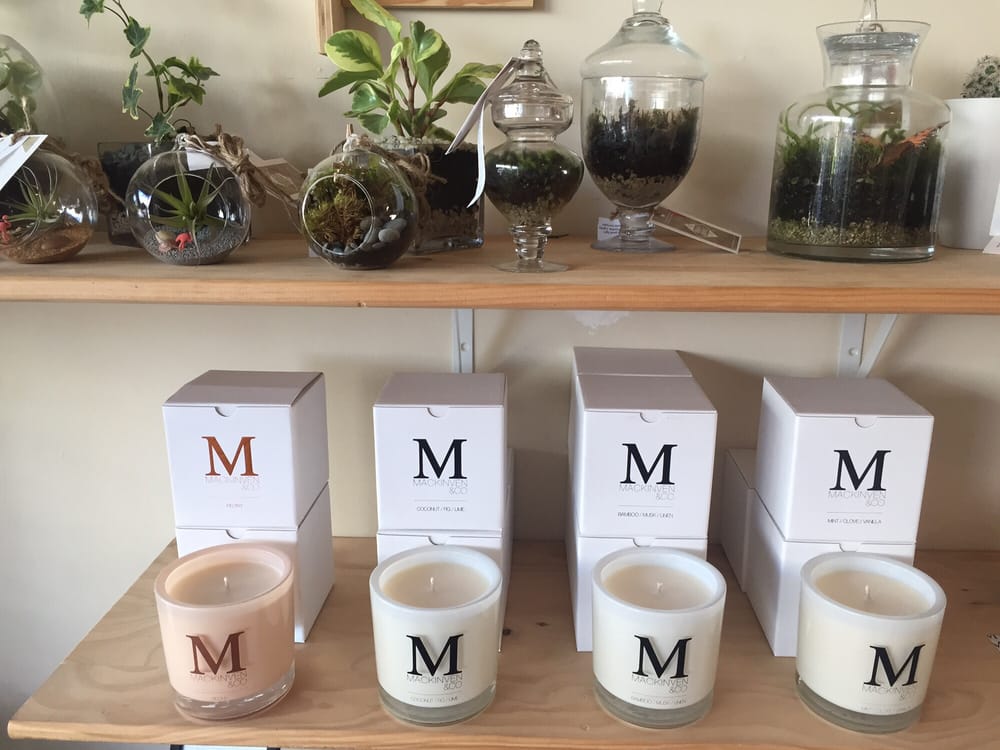 TERRARIUM Updated April 2024 434448 New North Rd, Auckland, New