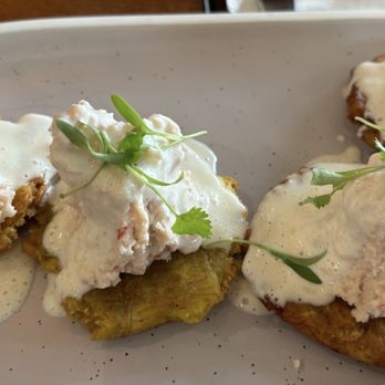 Dr Limon Ceviche - Desserts Near Me - Homestead, Florida Dr Limon Ceviche - Desserts Near Me - Homestead, Florida