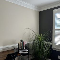 Showstopper Painting