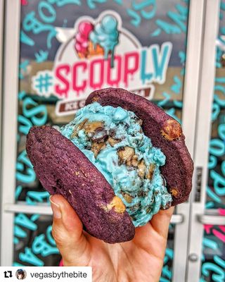 Scoop LV by null