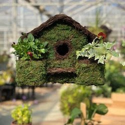 Avery Creek Nursery - Outdoor/garden bird house with plannable area