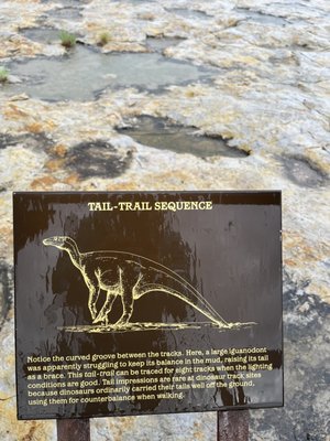 Clayton Lake State Park and Dinosaur Trackways by null