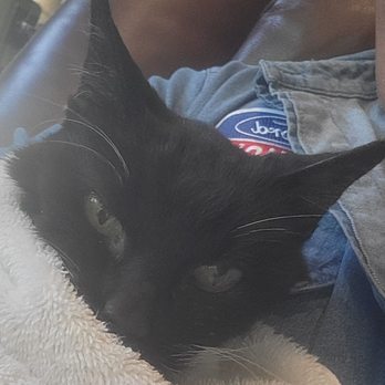 Faithful Friend - Veterinarians Near Me