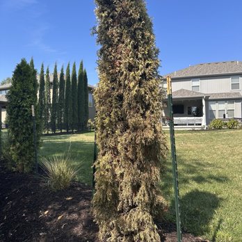 J & B Landscaping - Landscaping Near Me J & B Landscaping - Landscaping Near Me