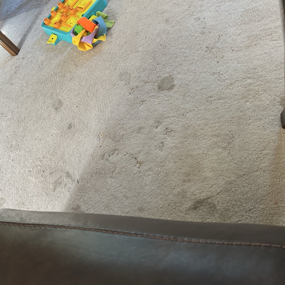 Clean River - Carpet Cleaning Near Me Clean River - Carpet Cleaning Near Me