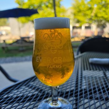 Ever Grain Brewing - Surf Breaker IPA - Breweries Near Me - Camp Hill, Pennsylvania Ever Grain Brewing - Surf Breaker IPA - Breweries Near Me - Camp Hill, Pennsylvania