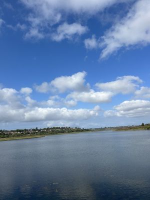 Upper Newport Bay Nature Preserve by null