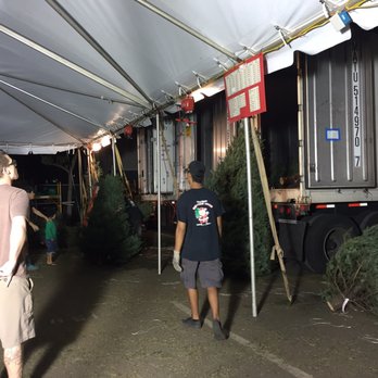 Richard Tajiri's Christmas Hawaii - Staging area to assess options they dig out of the truck - Christmas Trees Near Me - Honolulu, Hawaii Richard Tajiri's Christmas Hawaii - Staging area to assess options they dig out of the truck - Christmas Trees Near Me - Honolulu, Hawaii