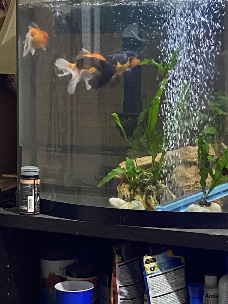 KHC AQUARIUM Updated September 2024 65 Photos & 36 Reviews 15001