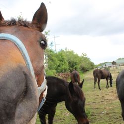 Hercules photo bombing!