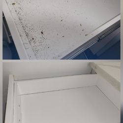 Pono Hale Cleaning Services