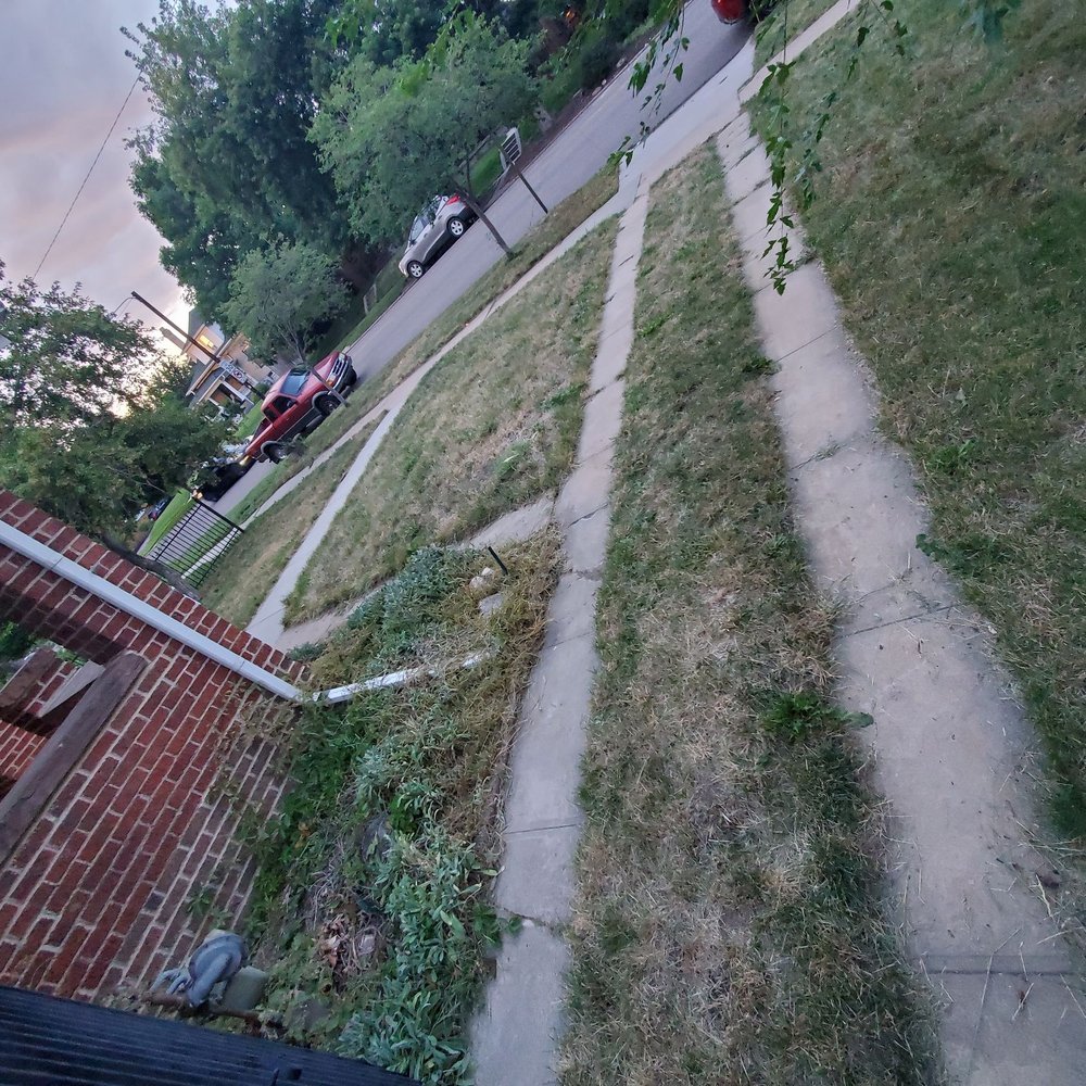 after front garden bed and yard after front garden bed and yard