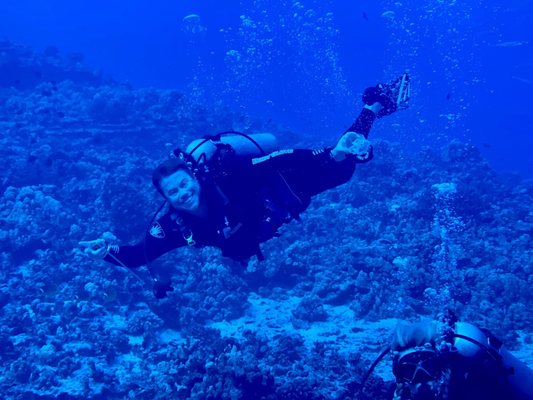 Maui Dreams Dive Co by null