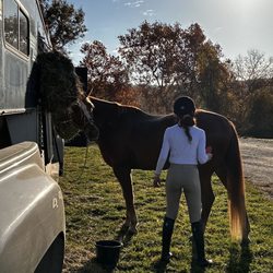 Bascule Farm - Getting ready for a show