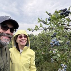 Haines Berry Farm